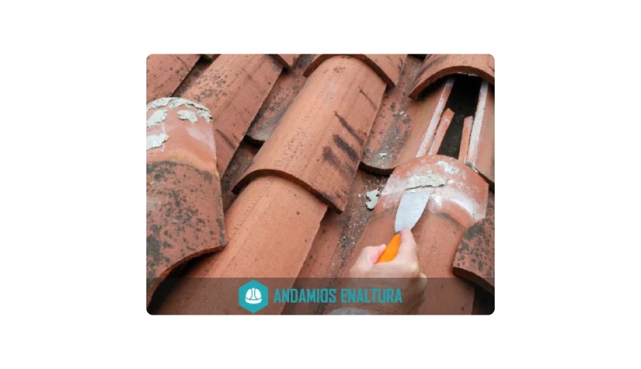 cambio de tejas coloniales